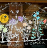 La Fourmili�re