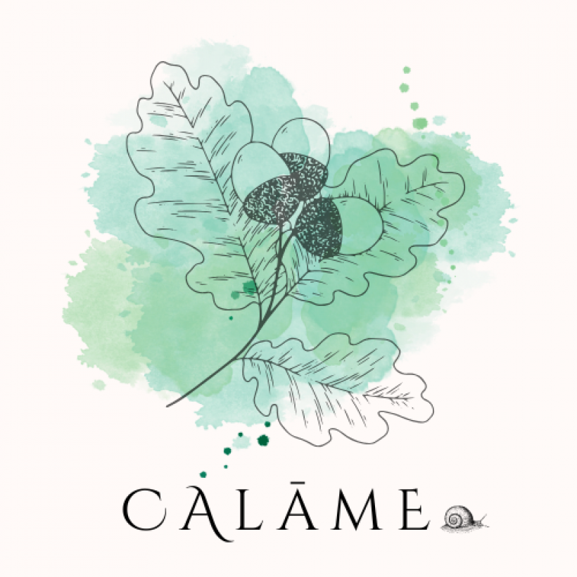 Calâme