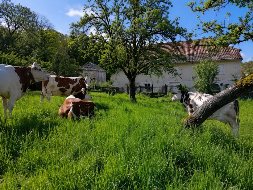 La Louve Chez Val�rie
